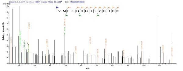 Mass Spectrometry - Recombinant Pectate lyase 1 protein (Tagged) (AB239542)