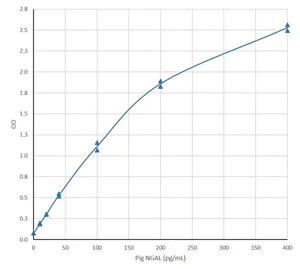 ELISA - Recombinant Pig Lipocalin-2 / NGAL protein (AB188050)