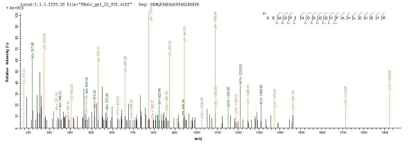 Mass Spectrometry - Recombinant Pseudomonas aeruginosa Regulatory protein RhlR (His tag) (AB225569)
