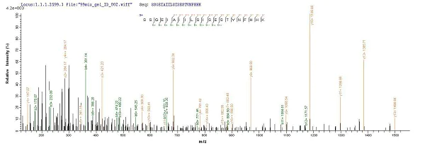 Mass Spectrometry - Recombinant Pseudomonas aeruginosa Regulatory protein RhlR (His tag) (AB225569)