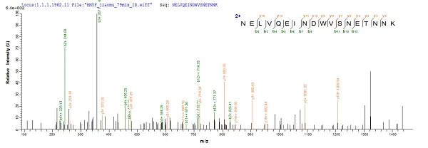 Mass Spectrometry - Recombinant Putative Serine Protease Inhibitor protein (Tagged) (AB224865)