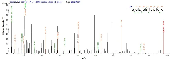 Mass Spectrometry - Recombinant Putative Serine Protease Inhibitor protein (Tagged) (AB224865)