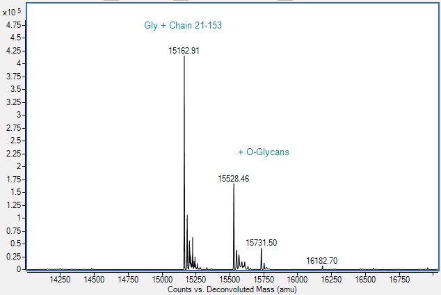 Mass Spectrometry - Recombinant Rabbit IL-2 Protein (Active) (AB307411), expandable thumbnail