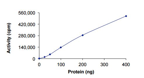 Functional Studies - Recombinant rat BTK protein (AB207956), expandable thumbnail