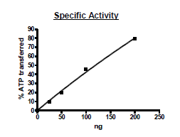 Functional Studies - Recombinant rat CERK protein (Active) (DDDDK tag C-Terminus) (AB271469)