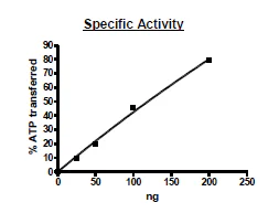 Functional Studies - Recombinant rat CERK protein (Active) (DDDDK tag C-Terminus) (AB271469)