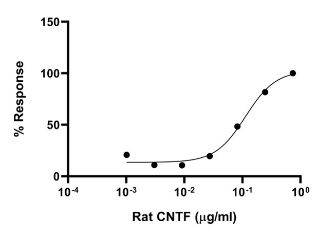 Functional Studies - Recombinant rat CNTF protein (Active) (AB283449), expandable thumbnail