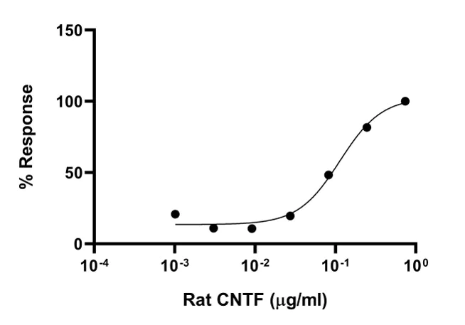 Functional Studies - Recombinant rat CNTF protein (Active) (AB283449)