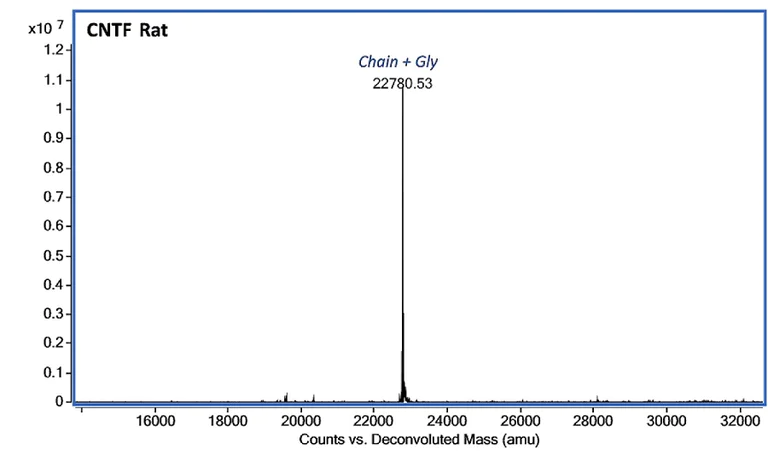 Mass Spectrometry - Recombinant rat CNTF protein (Active) (AB283449)