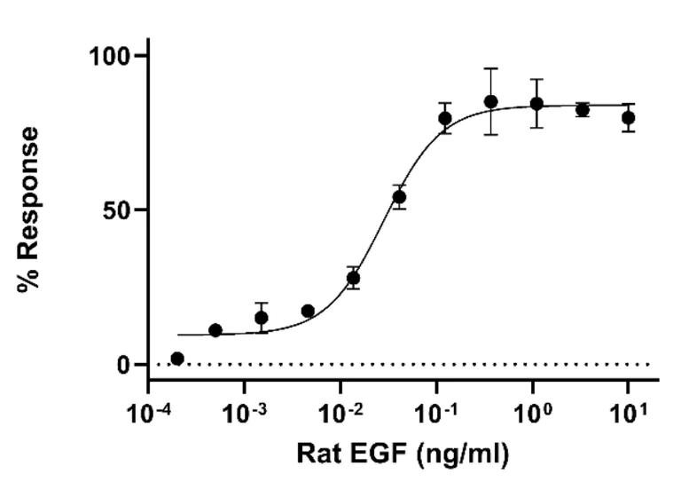 Functional Studies - Recombinant Rat EGF Protein (Active) (AB290070)