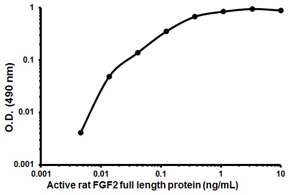 Cellular Activation - Recombinant rat FGF2 protein (Animal Free) (AB179499)