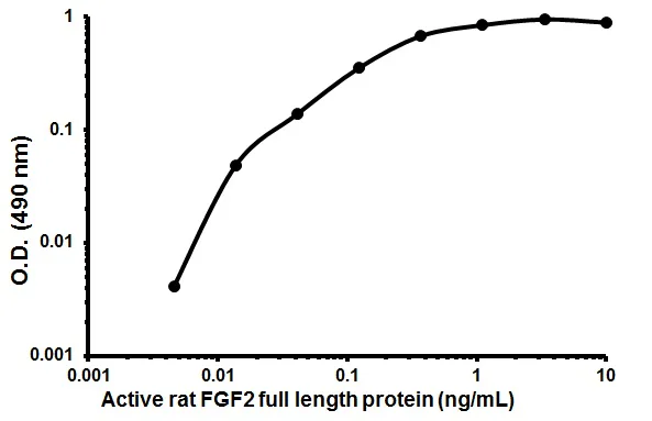 Functional Studies (Act) - Recombinant rat FGF2 protein (Animal Free) (AB179499)