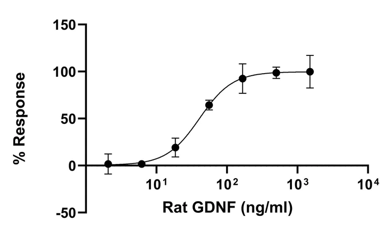 Functional Studies - Recombinant rat GDNF protein (Active) (AB281795)