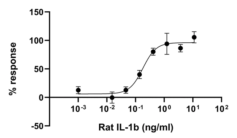 Functional Studies - Recombinant rat IL-1 beta protein (Active) (AB281807)