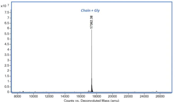 Mass Spectrometry - Recombinant rat IL-1 beta protein (Active) (AB281807)