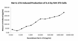 Functional Studies - Recombinant rat IL-17A protein (AB78597), expandable thumbnail
