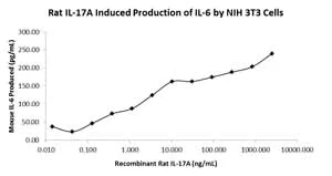 Functional Studies - Recombinant rat IL-17A protein (AB78597)