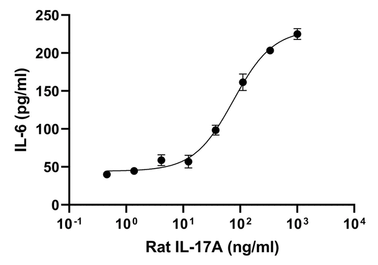Functional Studies - Recombinant rat IL-17A protein (Active) (AB282393)