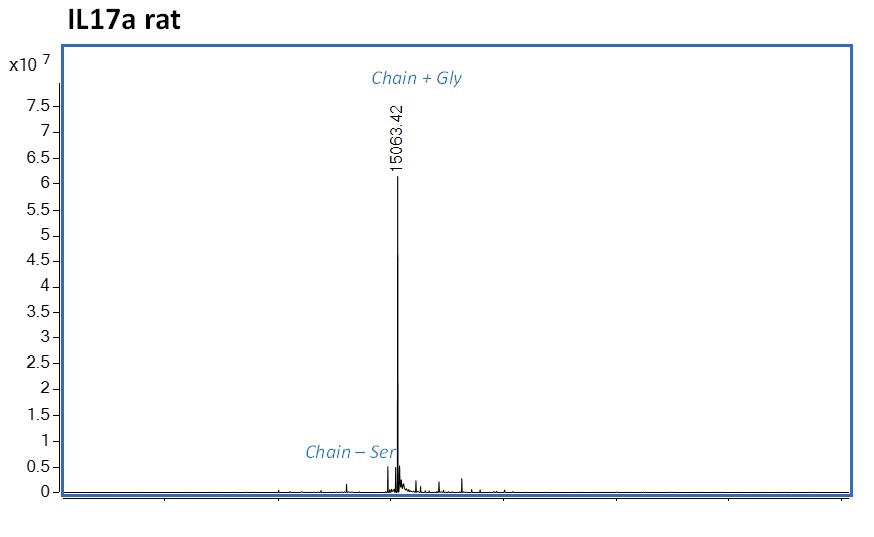 Mass Spectrometry - Recombinant rat IL-17A protein (Active) (AB282393), expandable thumbnail