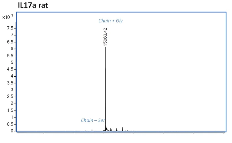 Mass Spectrometry - Recombinant rat IL-17A protein (Active) (AB282393)