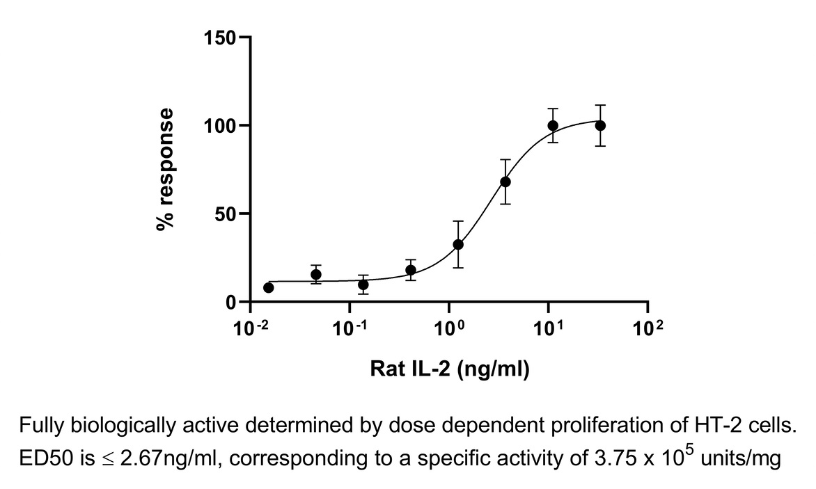 Recombinant rat IL-2 protein (Active)