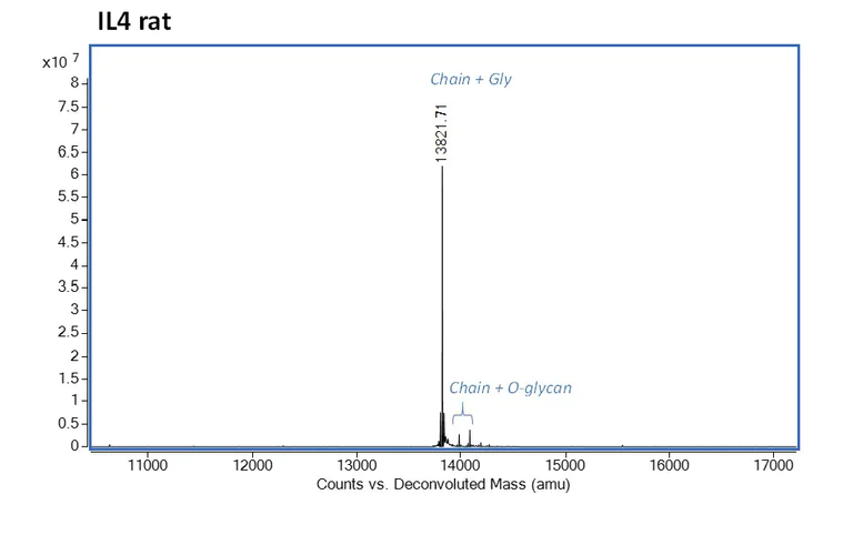 Mass Spectrometry - Recombinant rat IL-4 protein (Active) (AB282395)