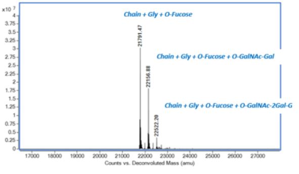 Mass Spectrometry - Recombinant rat IL-6 protein (Active) (AB281812), expandable thumbnail