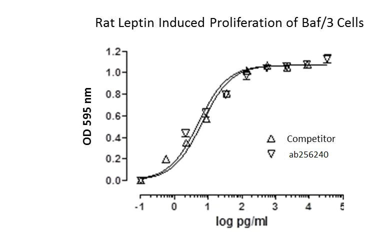 Functional Studies - Recombinant rat Leptin protein (Active) (AB256240)