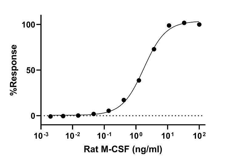 Biological Activity - Recombinant Rat M-CSF Protein (Active) (AB307410)