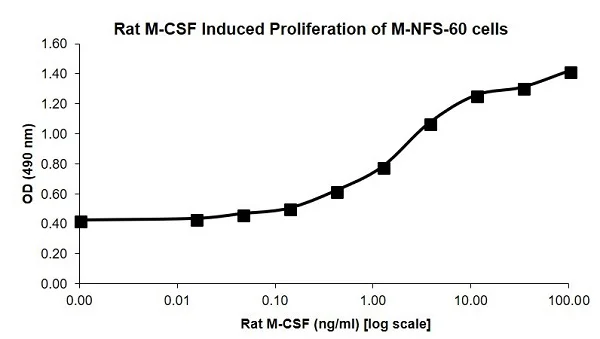 Functional Studies (Act) - Recombinant rat M-CSF protein (Animal Free) (AB207964)