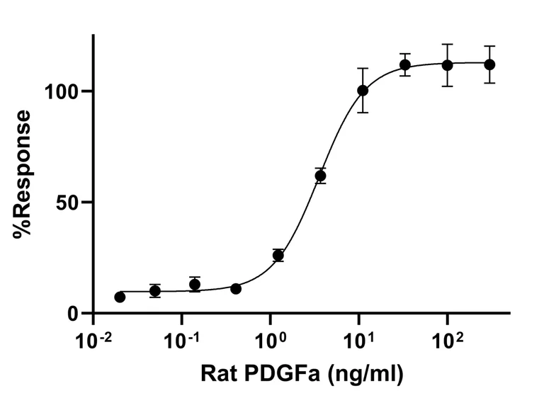 Functional Studies - Recombinant Rat PDGF AA protein (Active) (AB288823)
