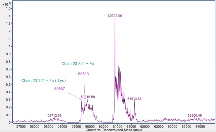 Mass Spectrometry - Recombinant Rat RAGE protein (Fc Chimera) (AB307188), expandable thumbnail