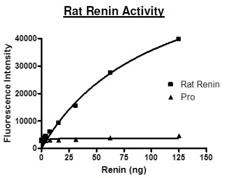 Recombinant rat Renin protein (Active)
