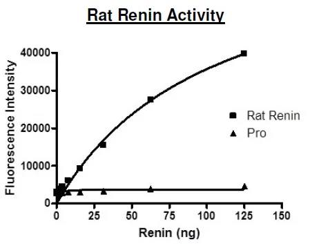 Functional Studies - Recombinant rat Renin protein (Active) (His tag C-Terminus) (AB198117)