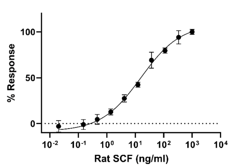 Functional Studies - Recombinant Rat SCF Protein (Active) (AB290071)