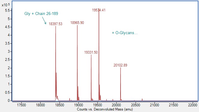 Mass Spectrometry - Recombinant Rat SCF Protein (Active) (AB290071), expandable thumbnail