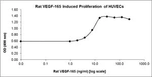 Functional Studies - Recombinant rat VEGFA protein (AB92846)