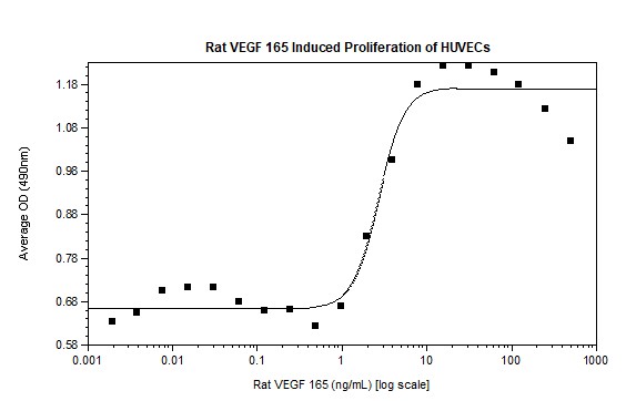 Functional Studies - Recombinant rat VEGFA protein (AB92846), expandable thumbnail