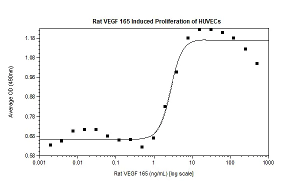 Functional Studies - Recombinant rat VEGFA protein (AB92846)