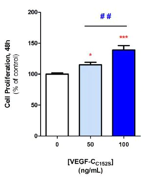 Functional Studies - Recombinant rat VEGFC protein (AB52146)
