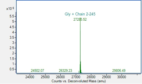 Mass Spectrometry - Recombinant Rift valley Fever Virus Nucleoprotein (AB318941)