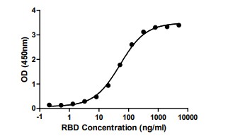 Functional Studies - Recombinant SARS-CoV-2 (B.1.617.2) Spike Glycoprotein RBD (mutated L452R + T478K) (His tag) (AB289719)