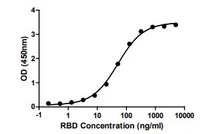 Functional Studies - Recombinant SARS-CoV-2 (B.1.617.2) Spike Glycoprotein RBD (mutated L452R + T478K) (His tag) (AB289719)
