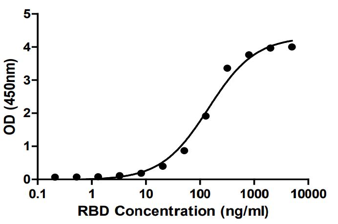 Recombinant SARS-CoV-2 Spike Glycoprotein RBD (mutated K417T) (Active)
