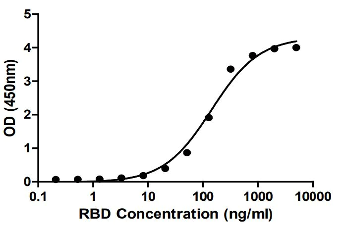 Functional Studies - Recombinant SARS-CoV-2 Spike Glycoprotein RBD (mutated K417T) (Active) (AB283525)