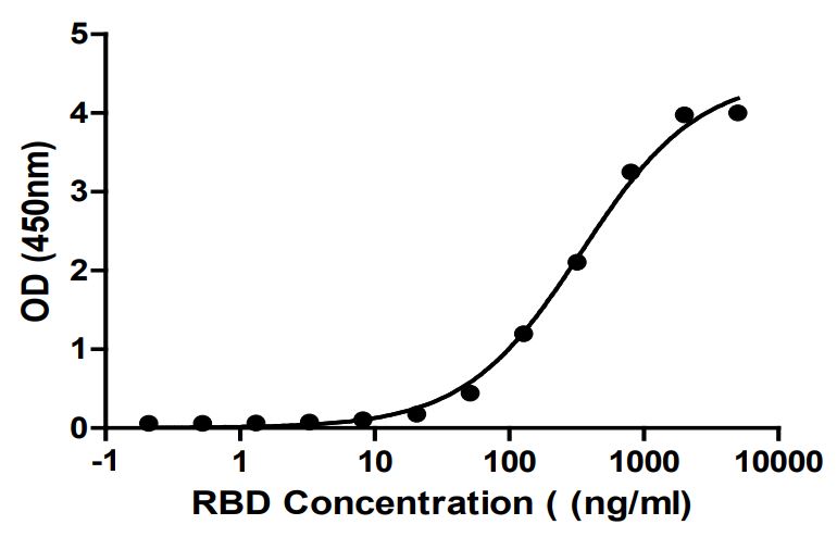 Functional Studies - Recombinant SARS-CoV-2 Spike Glycoprotein RBD (mutated L452R) (Active) (AB283526)