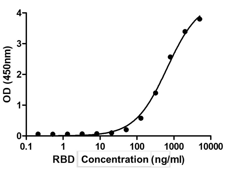 Recombinant SARS-CoV-2 Spike Glycoprotein RBD (mutated N439K)