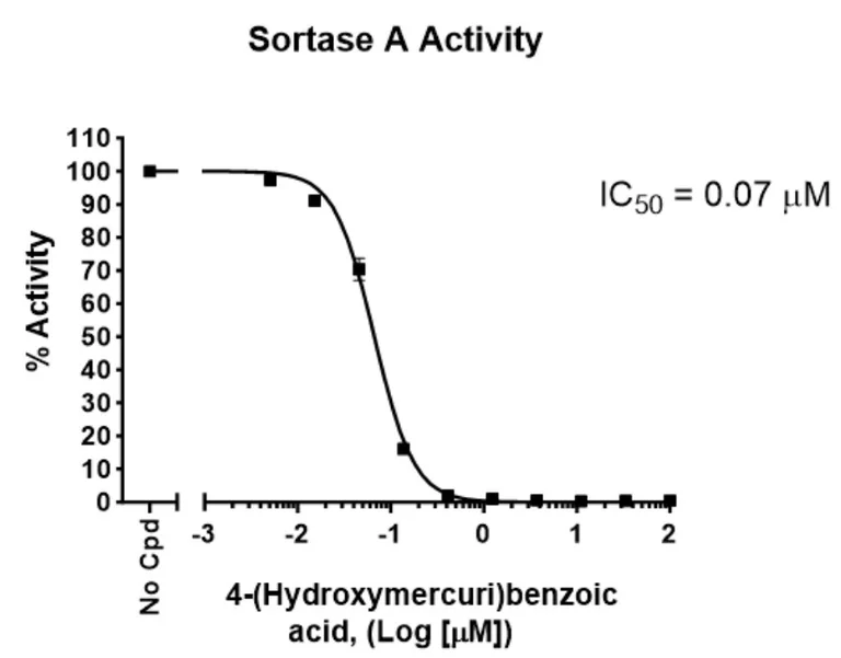 Functional Studies - Recombinant Sortase A protein (His tag N-Terminus) (AB198443)