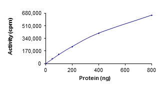 Recombinant Src protein