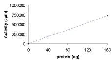 Functional Studies - Recombinant Src protein (AB60884)